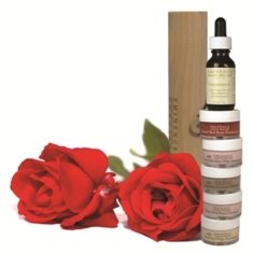 RoseCollectionGroupi1.jpg