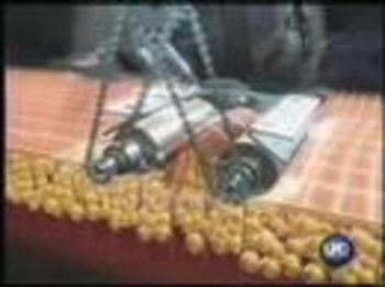 endo4.jpg